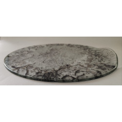 Plat polyvalent pour tartes, gâteaux et fromages – Cadeau idéal