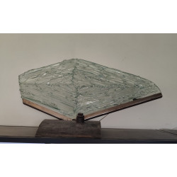 copy of copy of lampe ronde plante verte